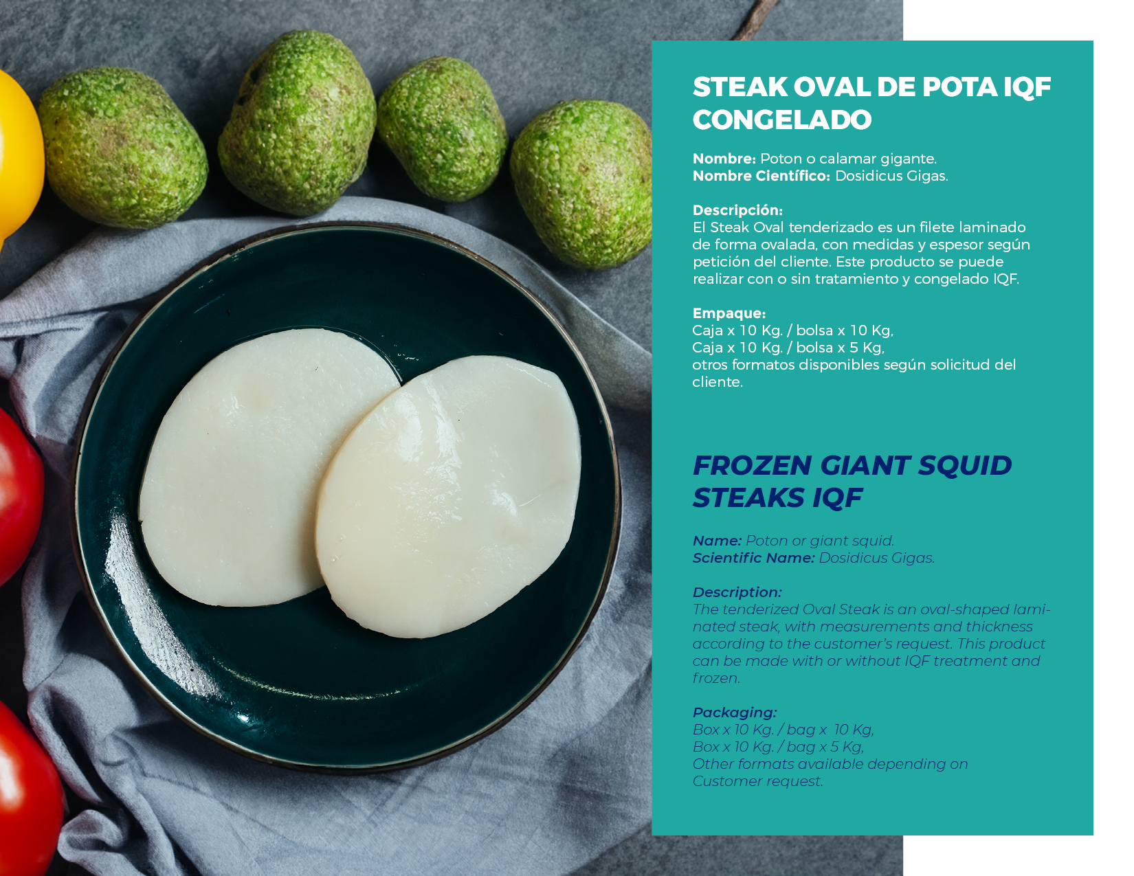 brochure 1